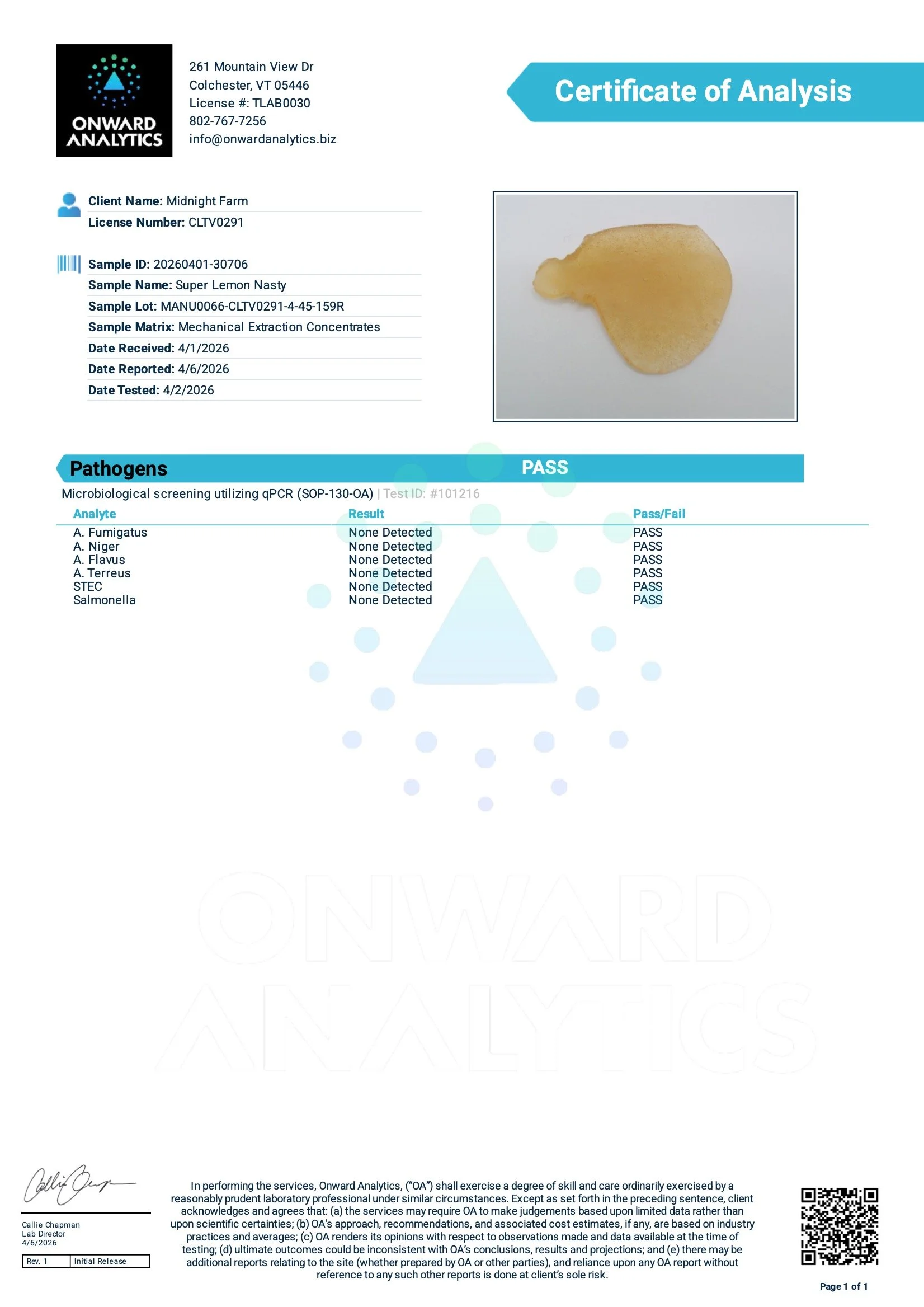 20260401-30706-Pathogens.jpeg