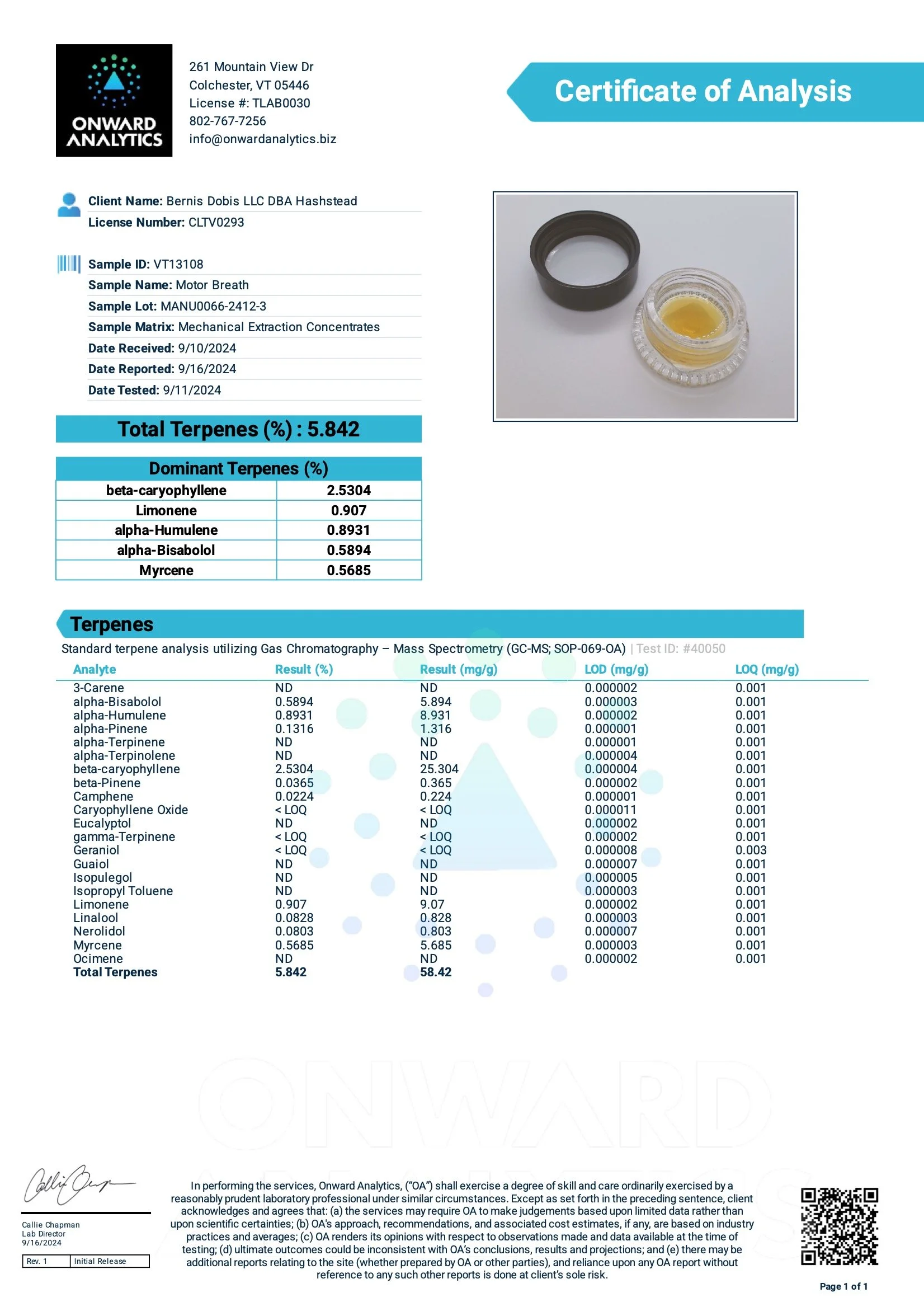 20240910-13108-Terpenes.jpeg