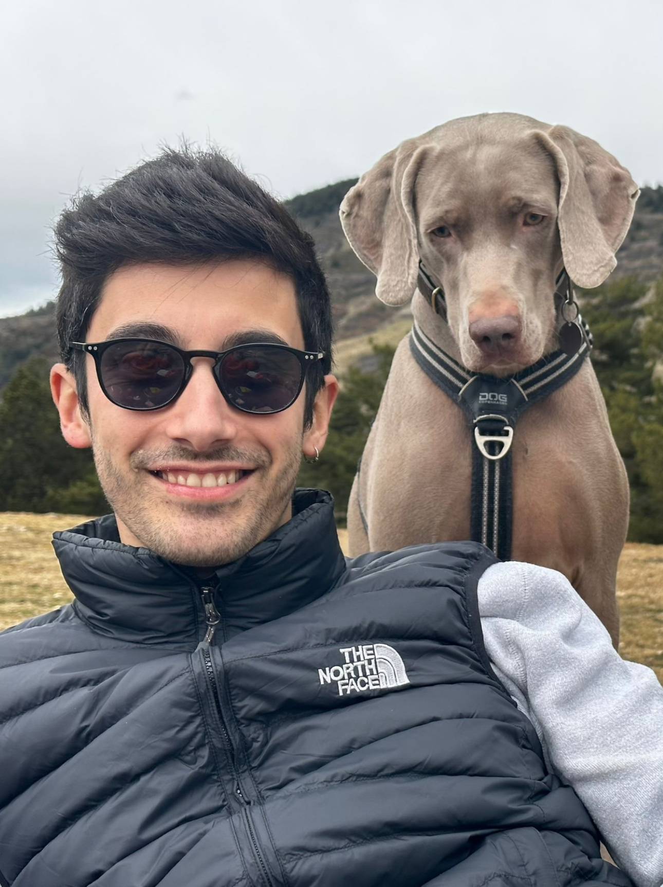 Client testimonial for Alba Roca Studio, residential interior design project in Barcelona, surrounded by Mediterranean light, natural textures, and family lifestyle with their dog.