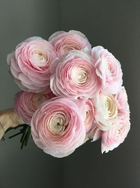 Flower Gift Card