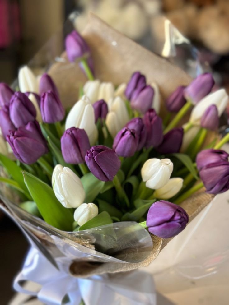 Tulips (1).jpeg