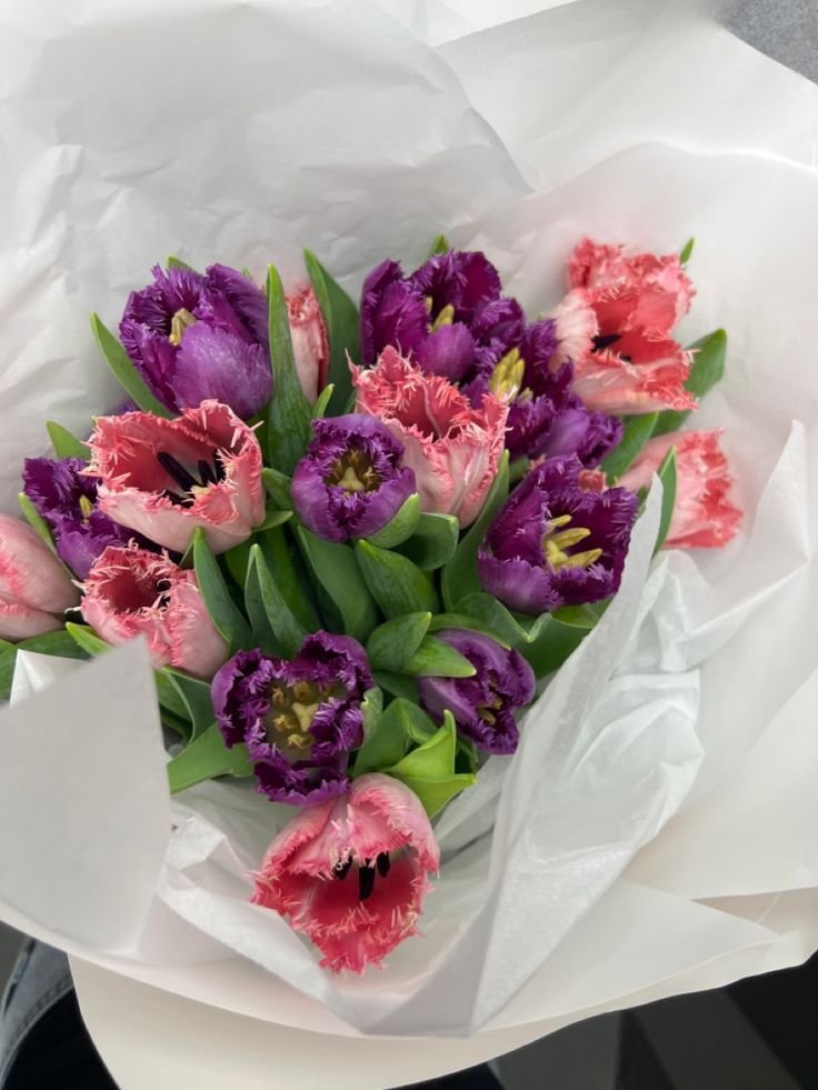 Tulips.jpeg