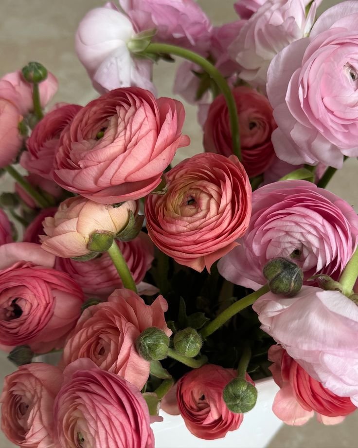 my absolute faves 😍 #ranunculus.jpeg