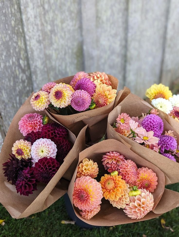 Dahlia bouquet CSA.jpeg