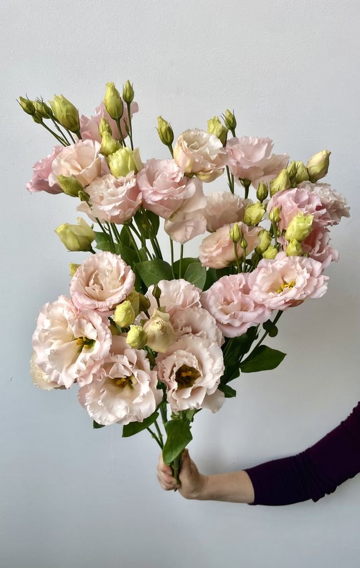 Lisianthus 'Corelli Peach'.jpeg