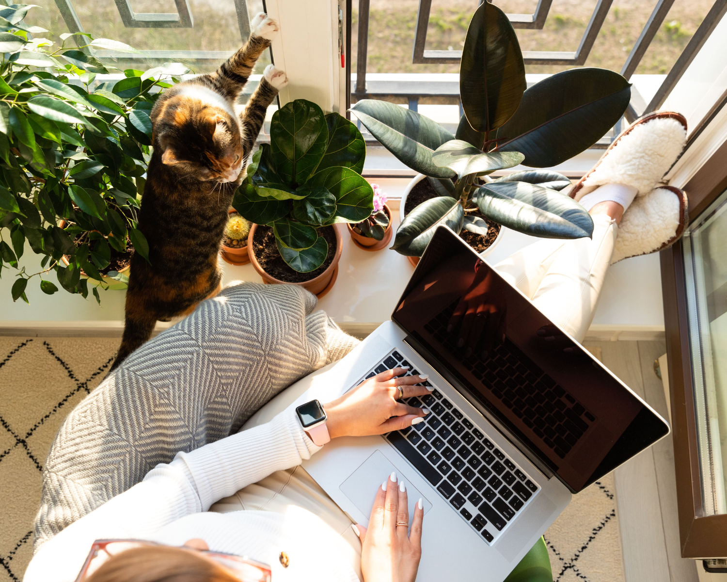 woman on laptop