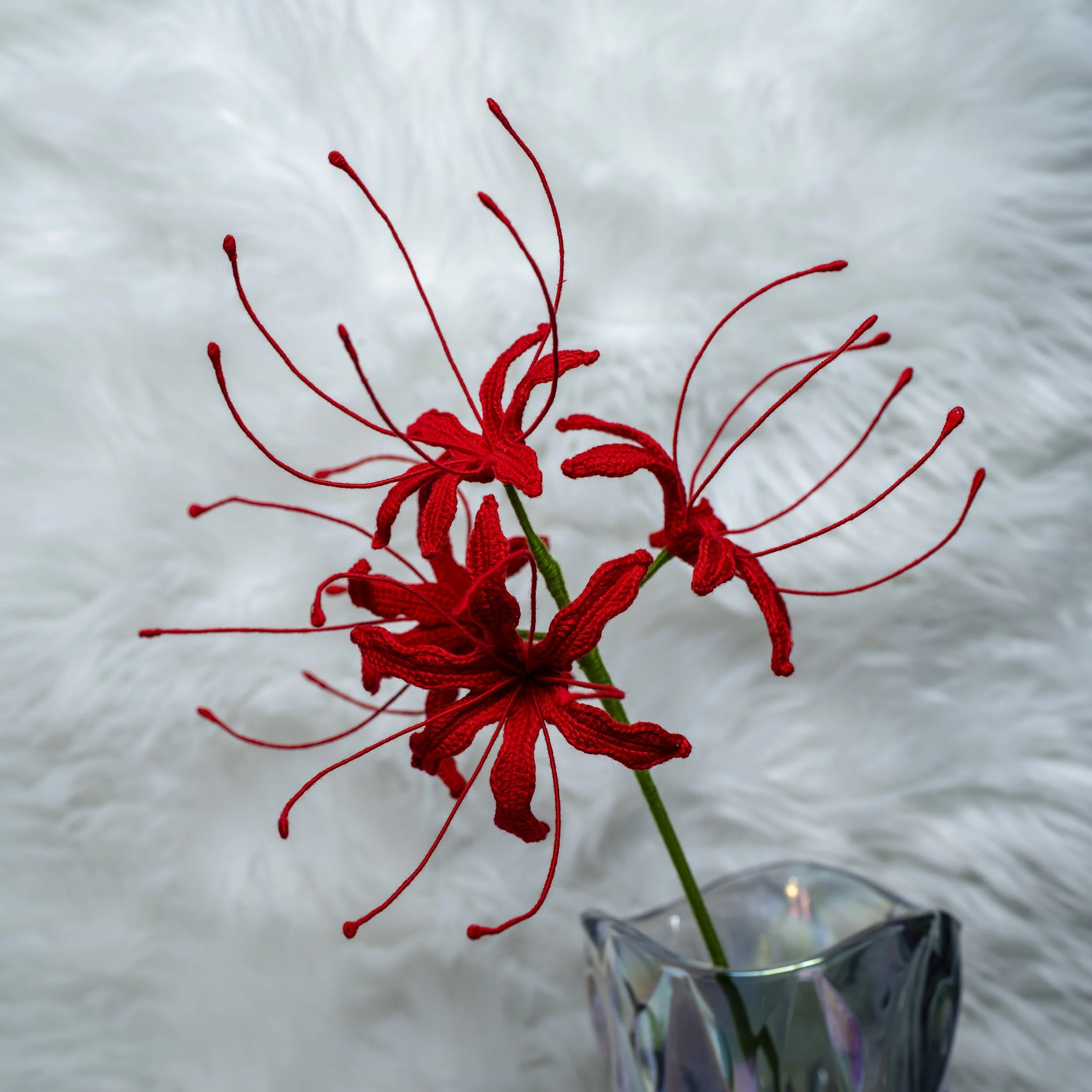 red spider lily