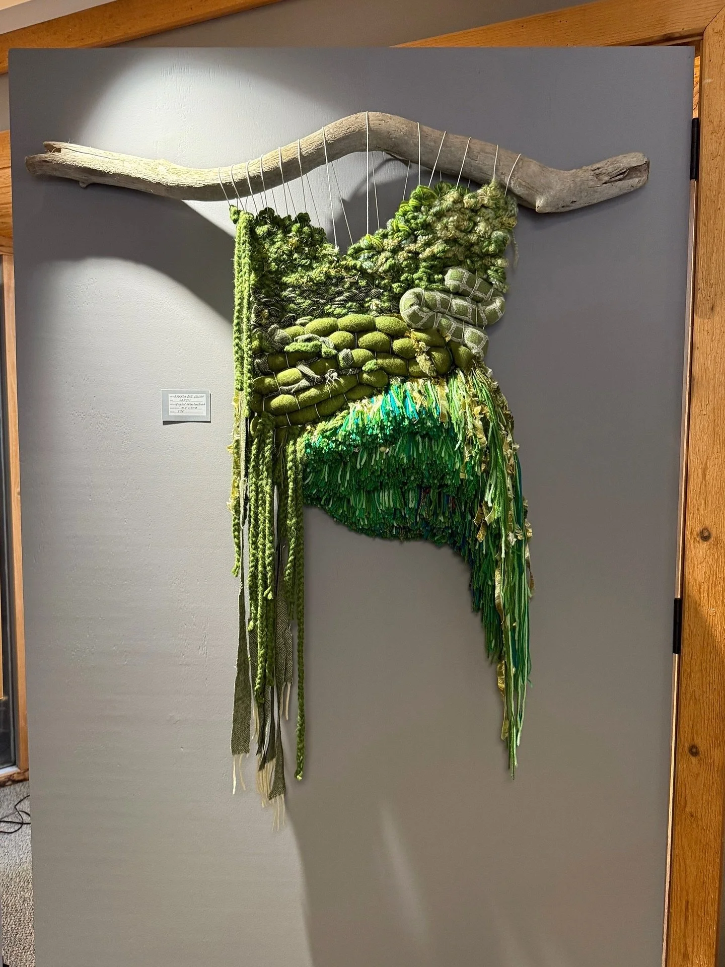 &lsquo;Land I&lsquo; 2025
Mixed Media: Upcycled natural and synthetic yarn and fabrics, scarfs, polyester fiber fill, reclaimed copper wire, Lake Erie driftwood, Cotton warp thread

On display @ The Comma Fine Art Gallery
Horizons, illusions, Echos G