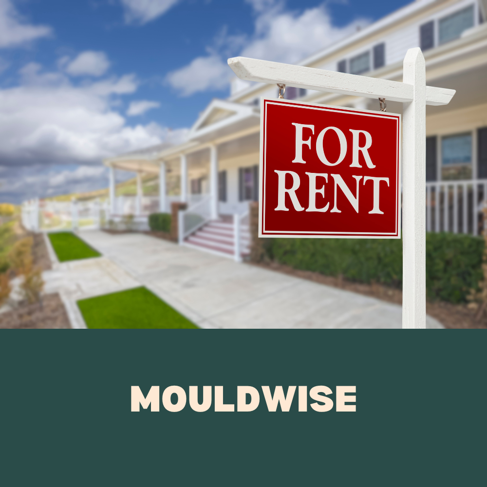 rental with mould and water damage for rent