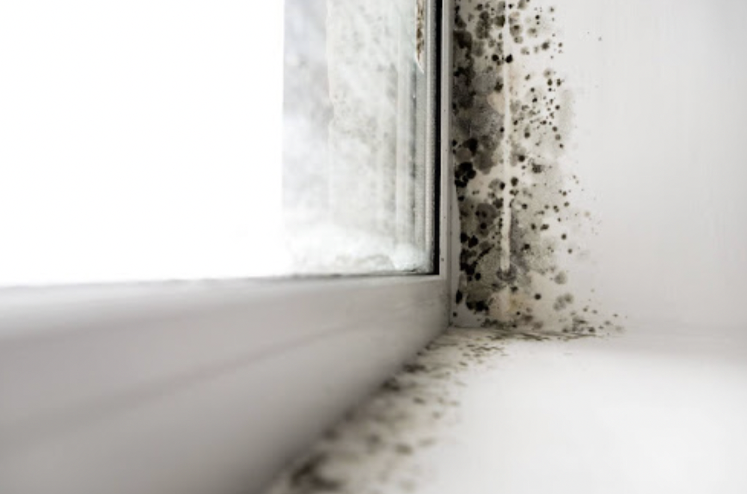 How to Prevent Condensation and Mould in Your Home This Winter