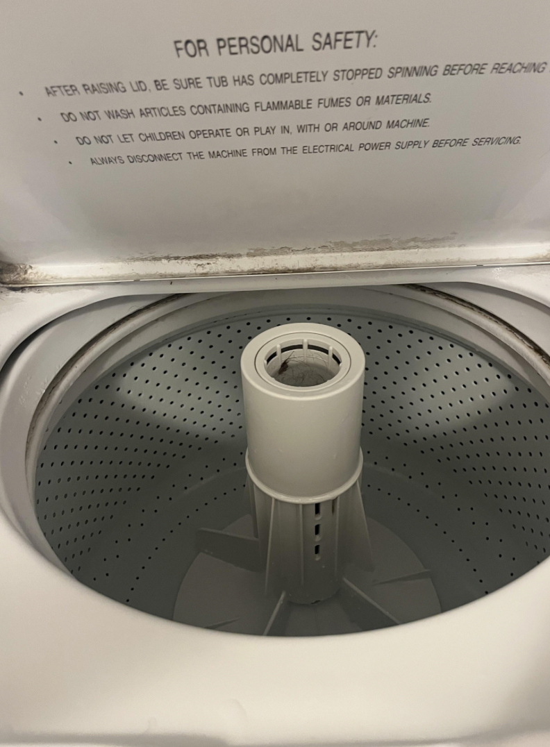 Top loader washing machine with mould