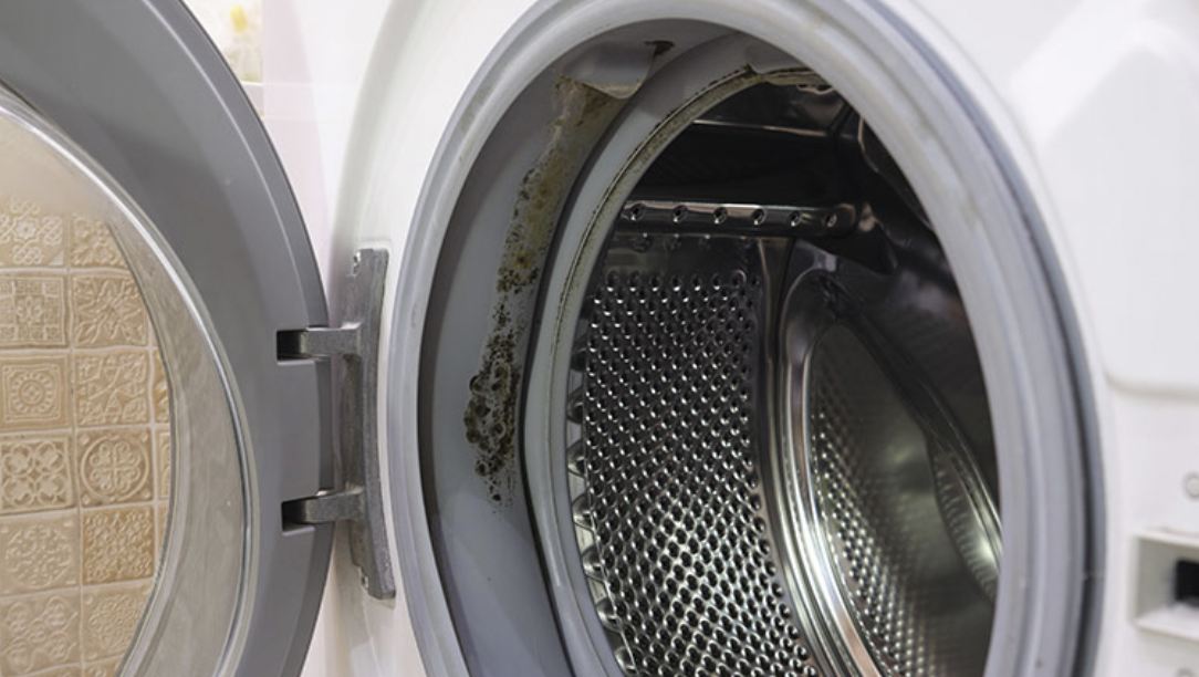 Mould inside a front loader washing machine rubber door seal