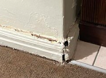 Swollen skirting board caused by water damage in a rental
