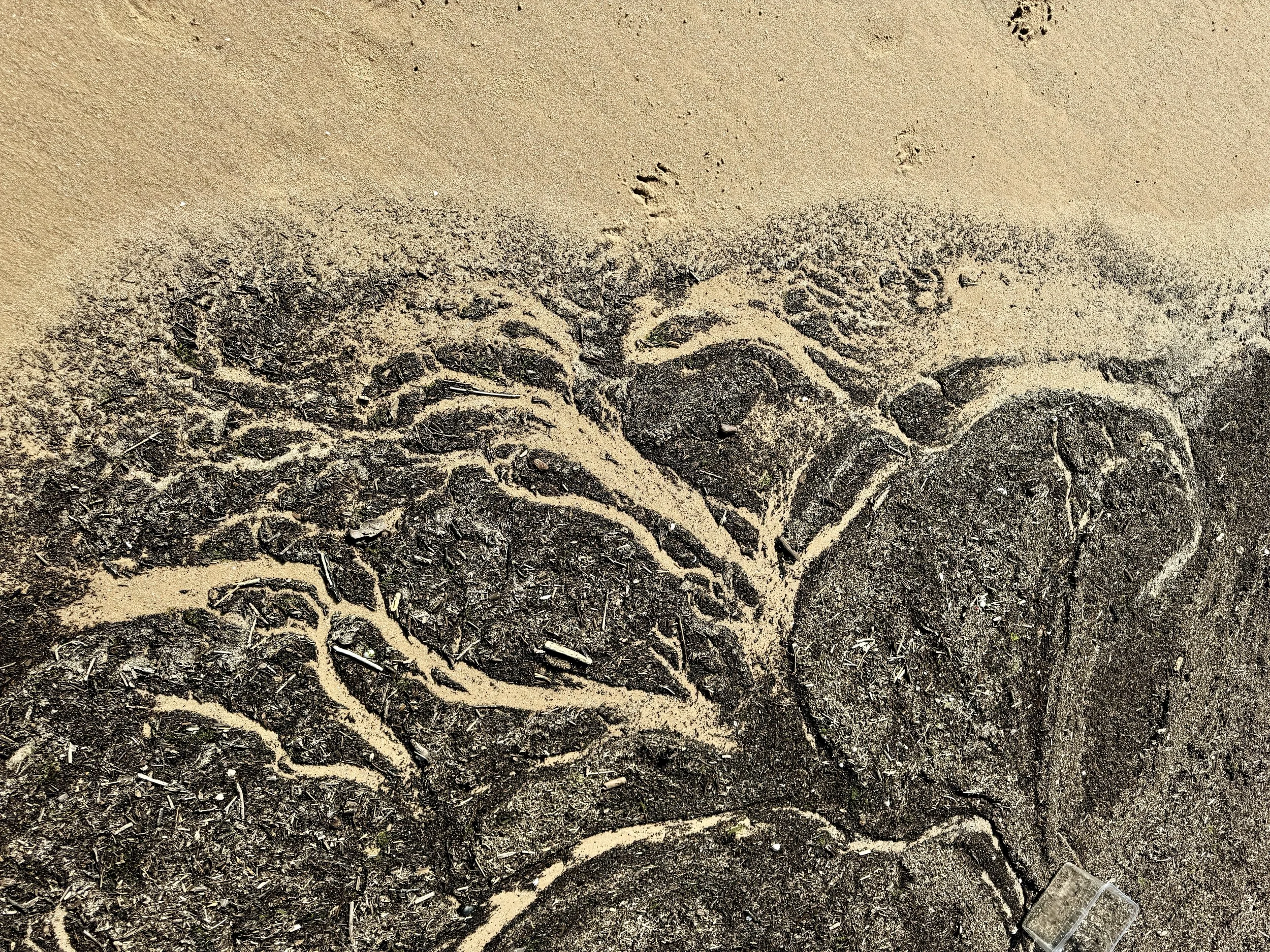 Shifting the Mindset: Overcoming Anxiety with Trust