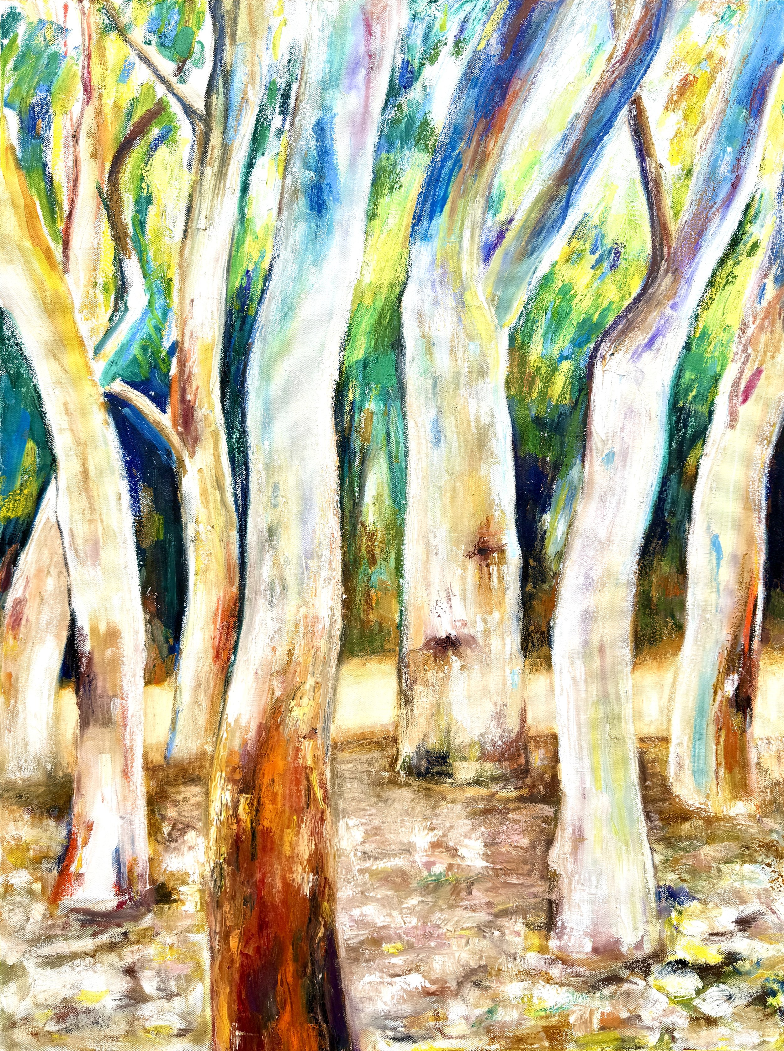 Komorebi. Gum Trees. Oil on Canvas. 