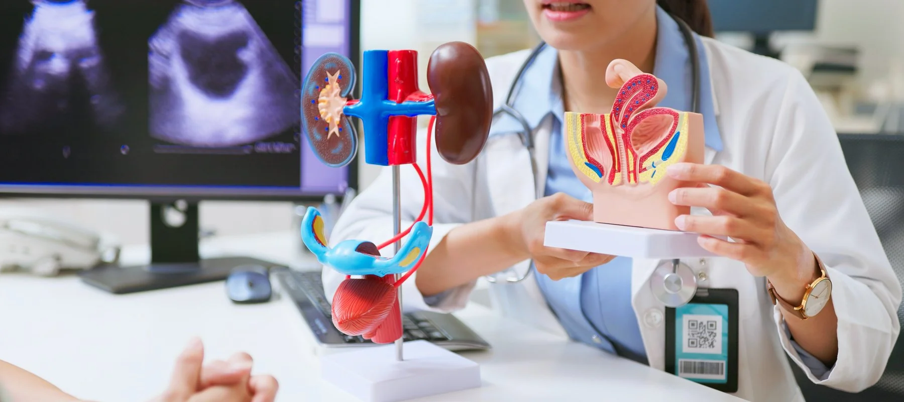 What Happens When a Man Visits a Urologist?