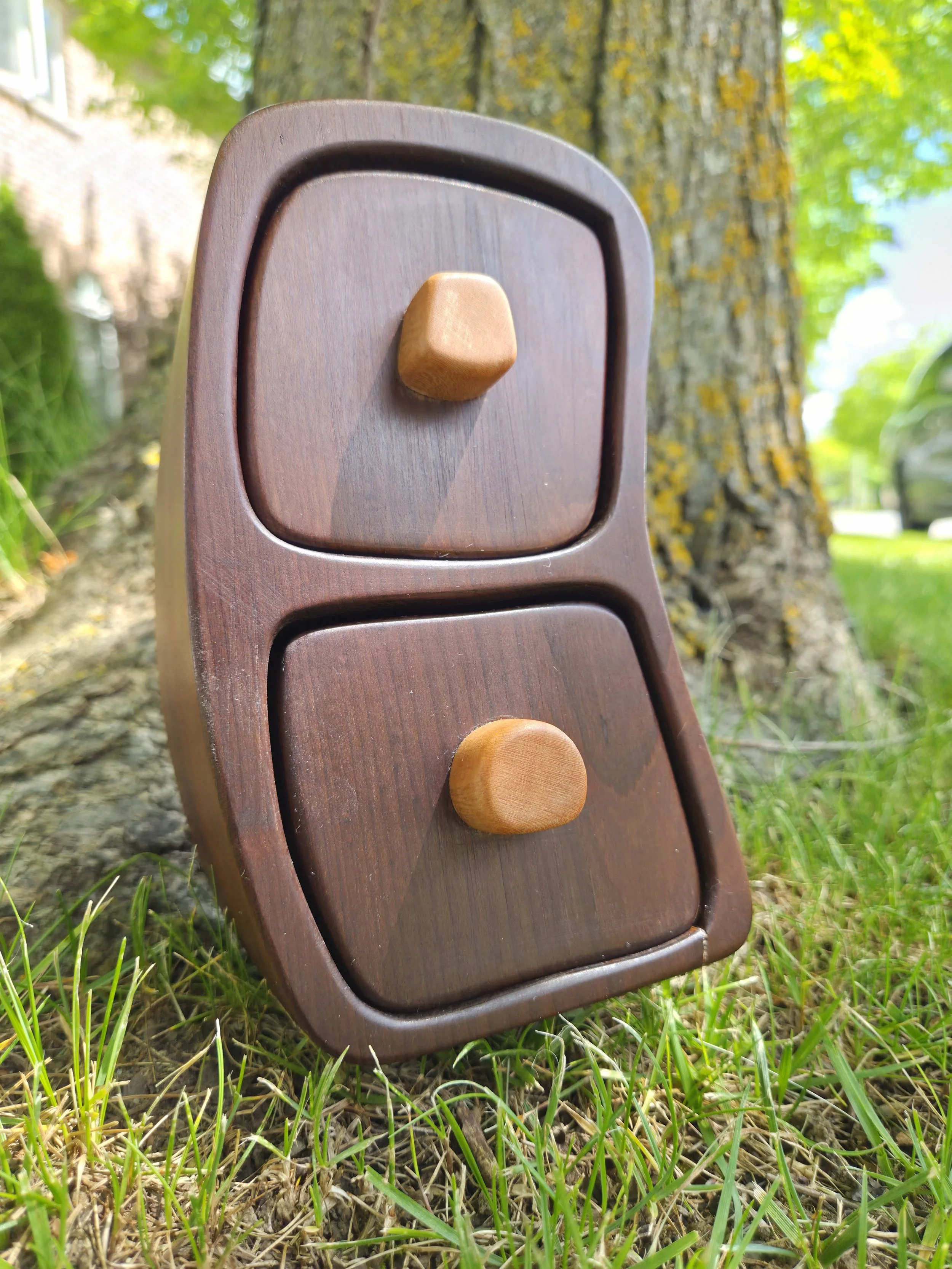 Close-up of a small wooden bandsaw box or wooden boxd with grass and a tree in the background.