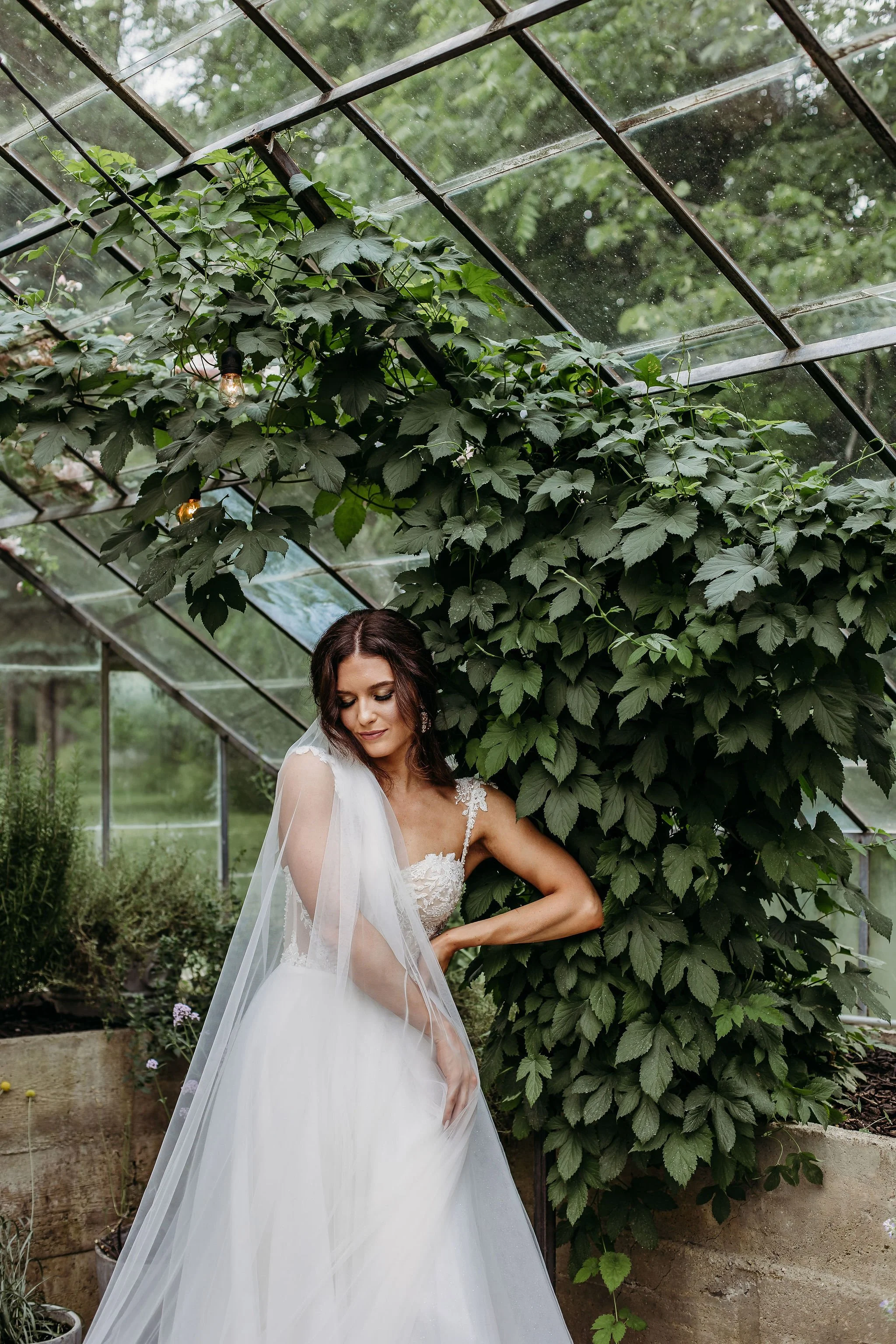 Charla Dee Photos Grand Rapids Chicago Detroit Luxury Destination Wedding Photographer- Holland Glasshouse.jpg