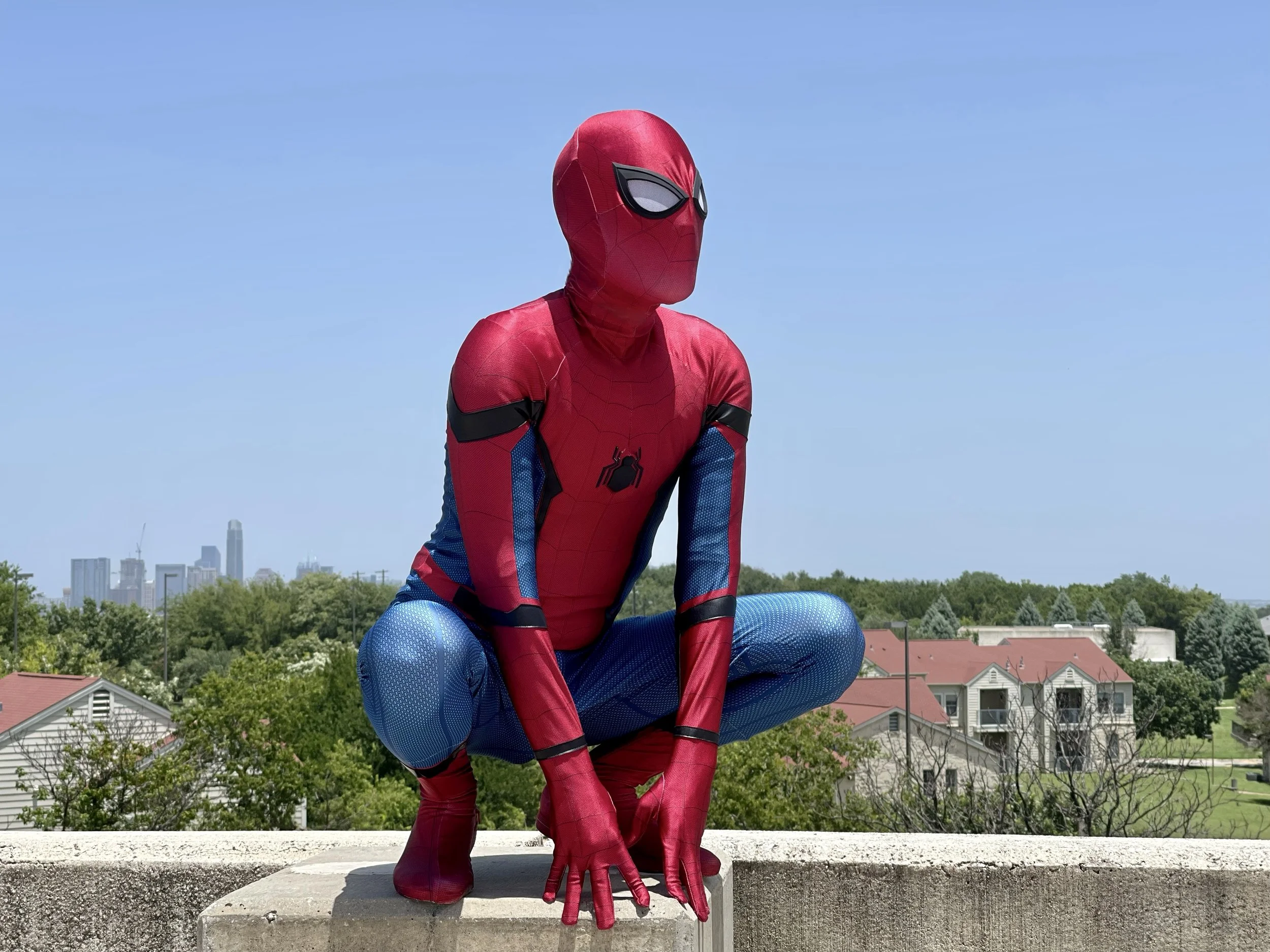 Spider Hero 2.jpg