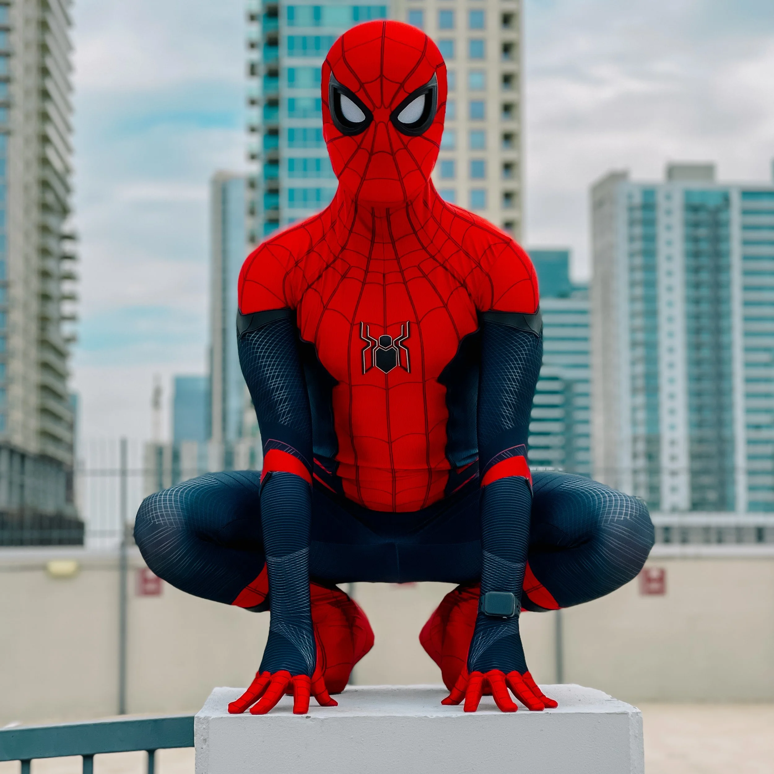 Spider Hero 1.jpg