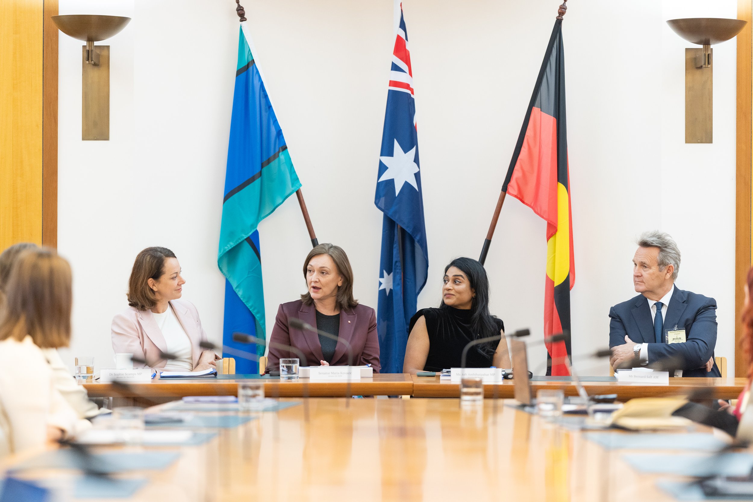 Building Momentum: Expanding Collaboration for a National  Conversation