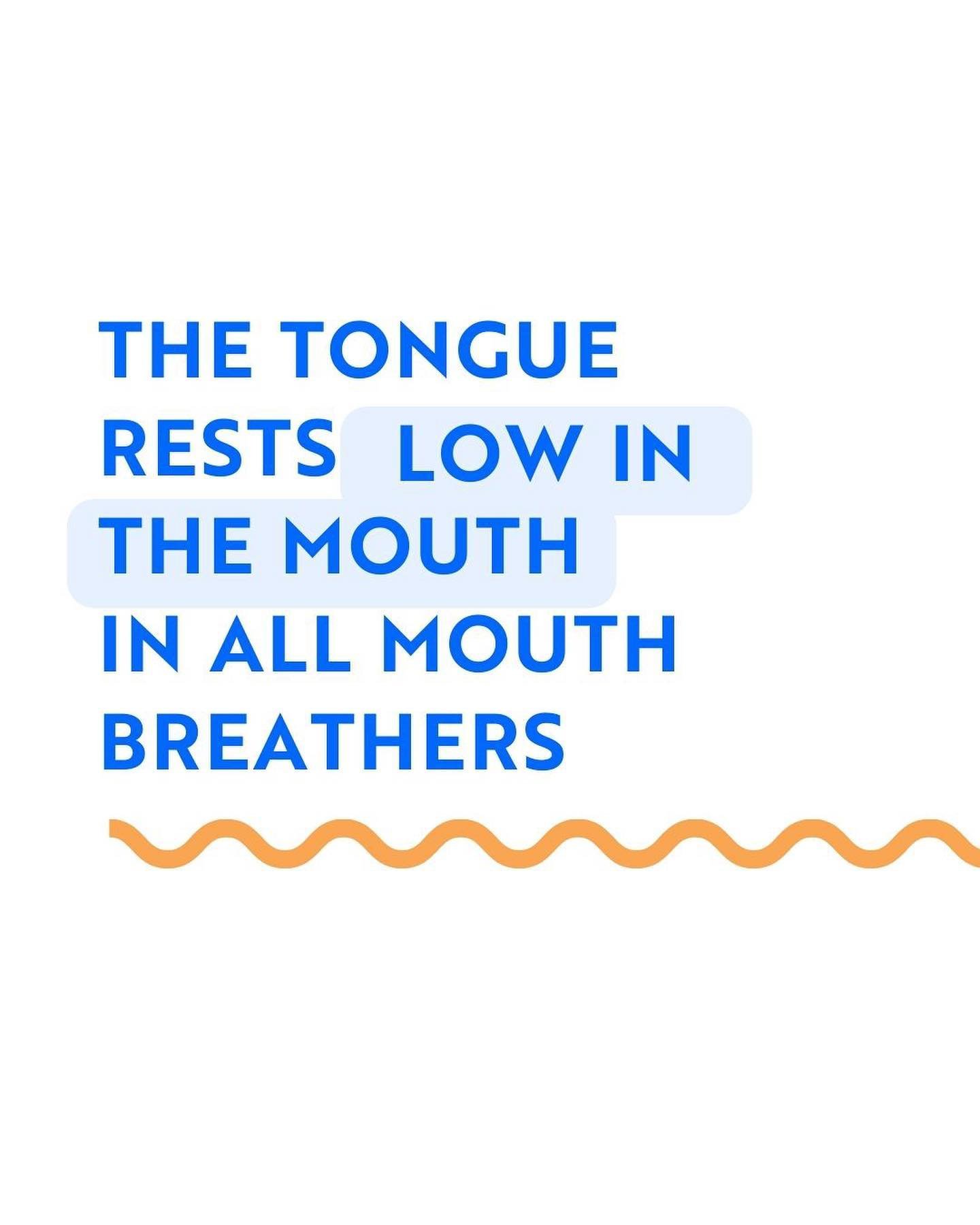 But why does that matter?

#tongueposture #tongue #lowtongue #mouthbreathing #mouthbreather #openmouth #closedmouthbreathing