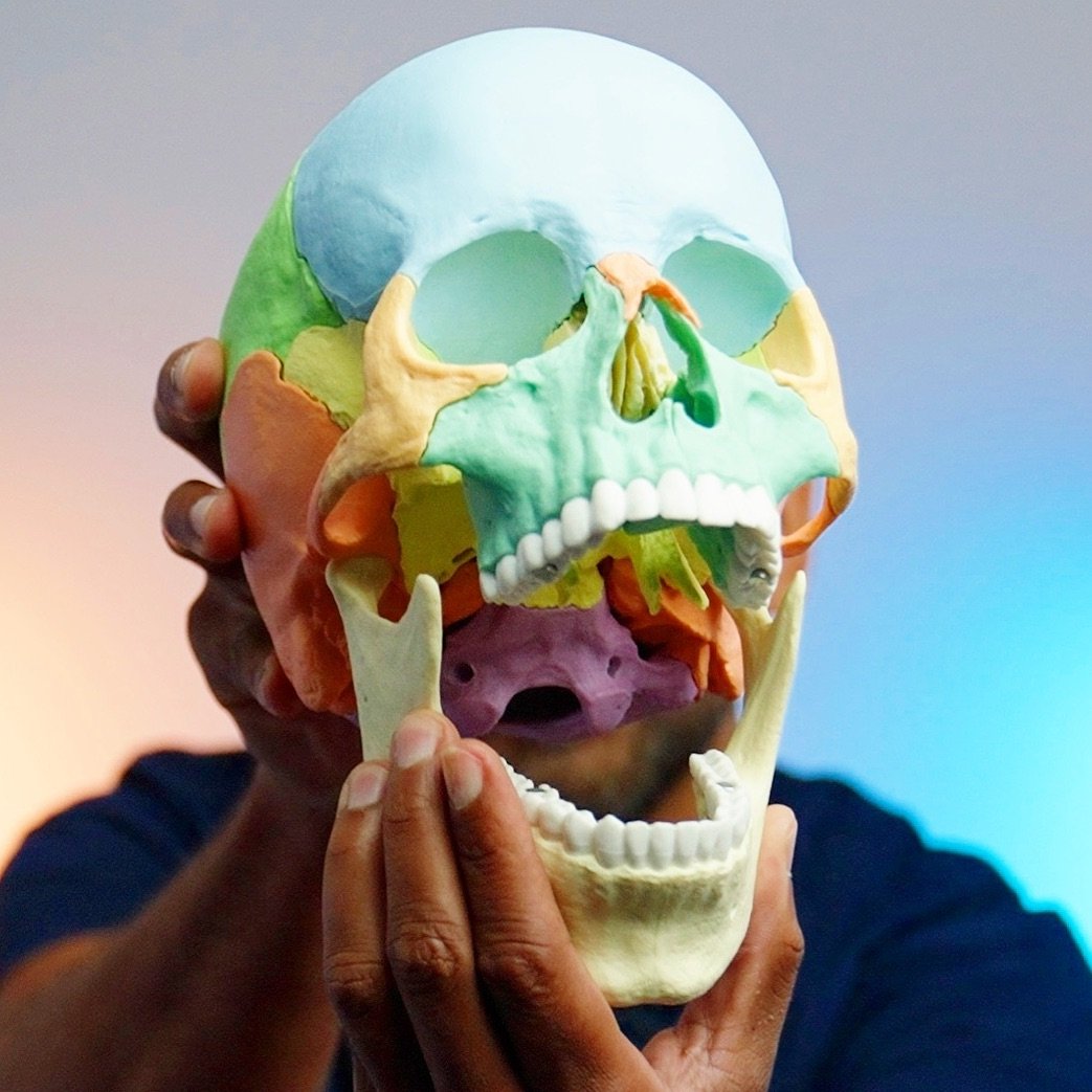 Sometimes just a visual representation can help us understand that&hellip;

&ldquo;HEY! It&rsquo;s not just a single bone we are talking about that makes up the skull!&rdquo; 💀

When a child begins to wear a dental appliance, the rest of the skull m