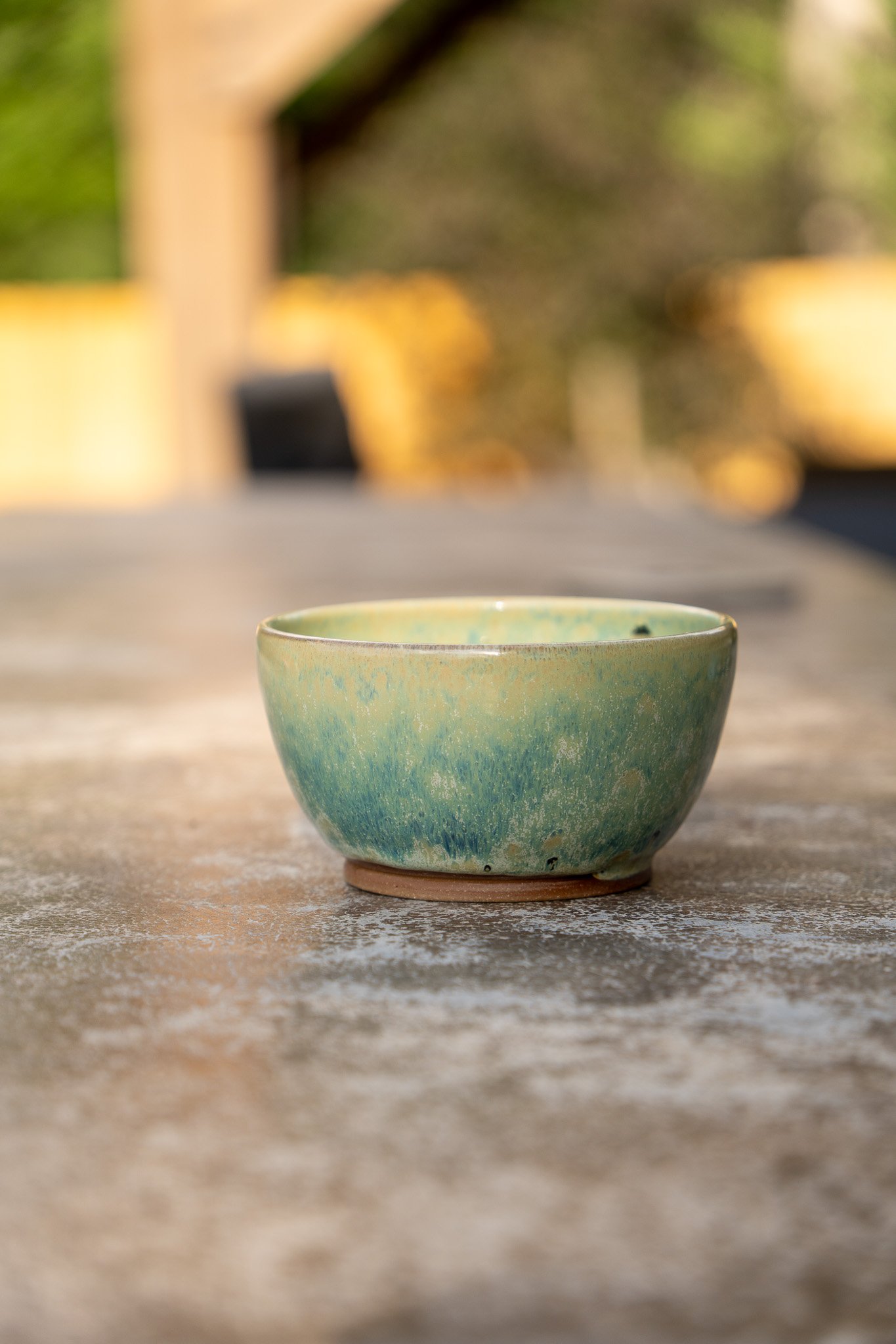 Sea Biscuit Bowl