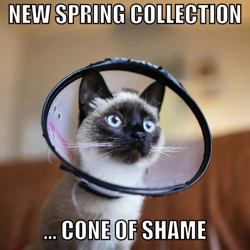 Meme: New Spring Collection — Best Pet Daily