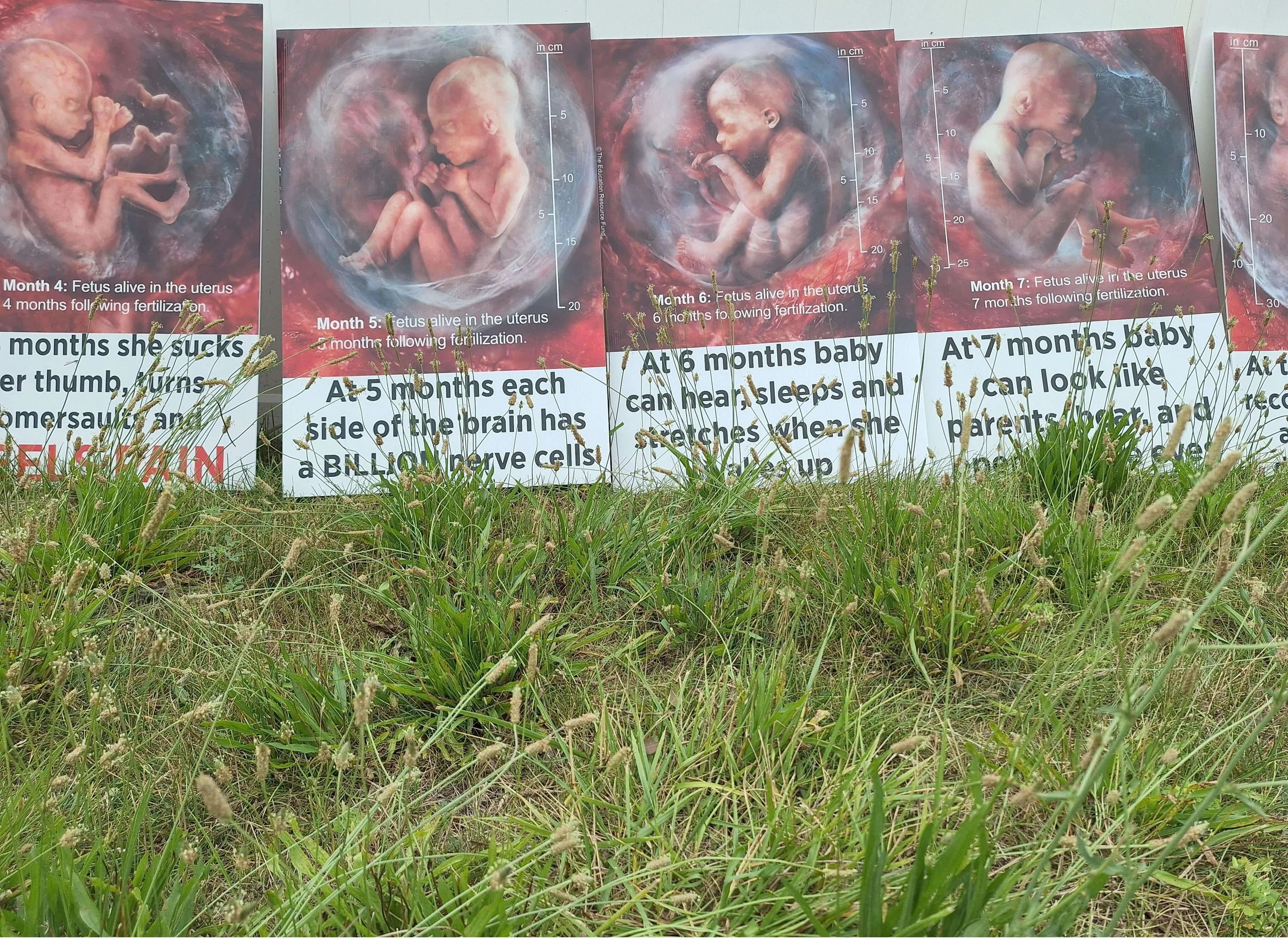 Email sent to Rockford Officials Concerning State of Rockford Abortion Mill