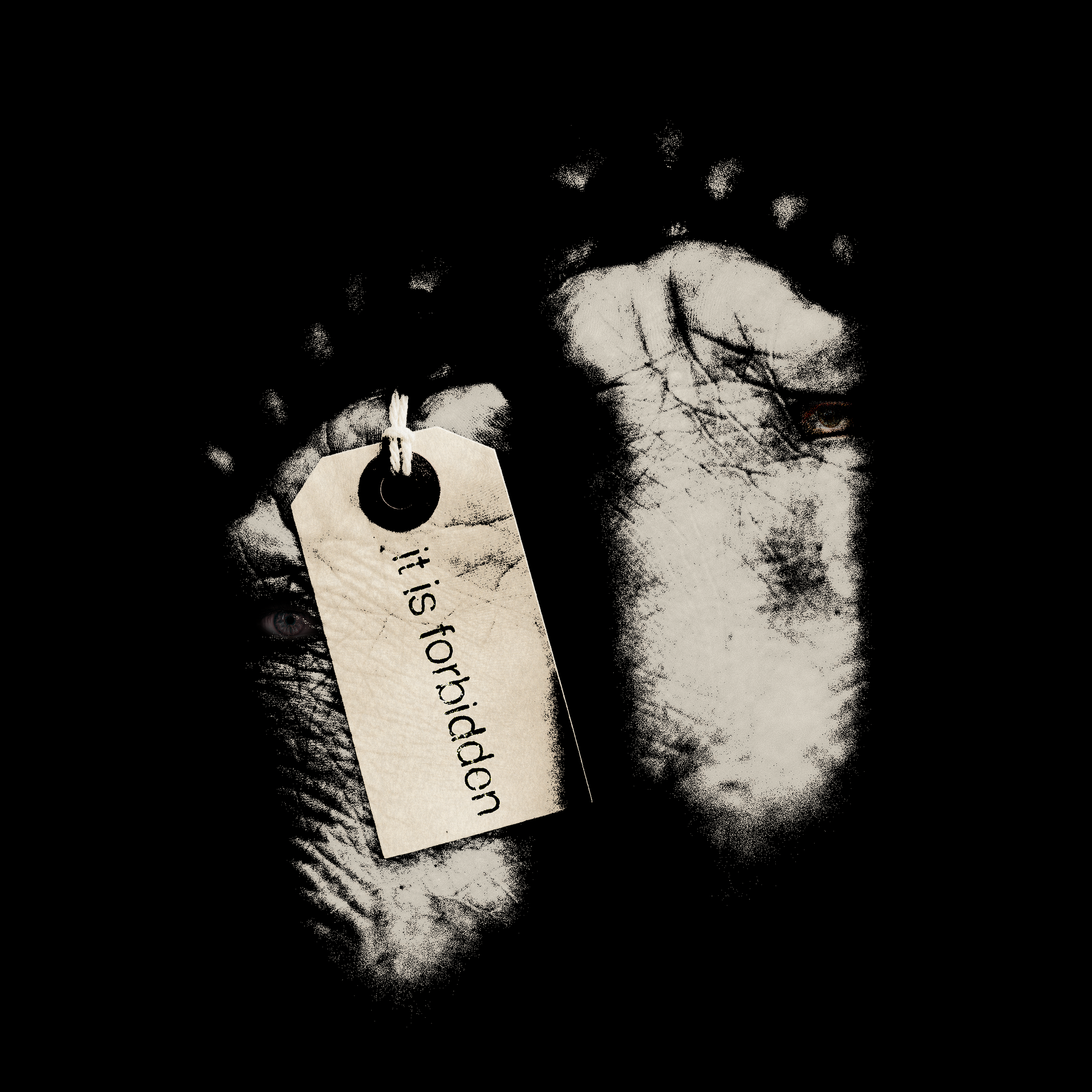 it is forbidden - artist photo