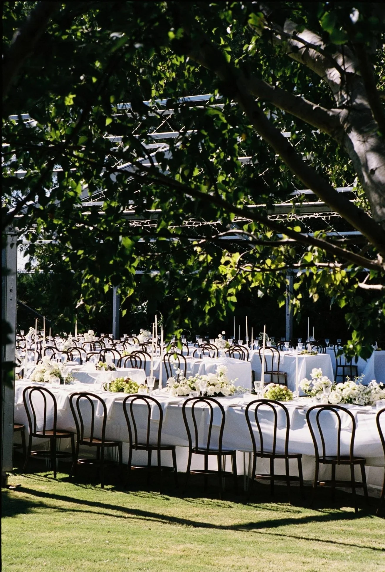 Long outdoor banquet table decorated with white tablecloths and floral centerpieces, set up under a shaded area with trees, for an event or celebration.