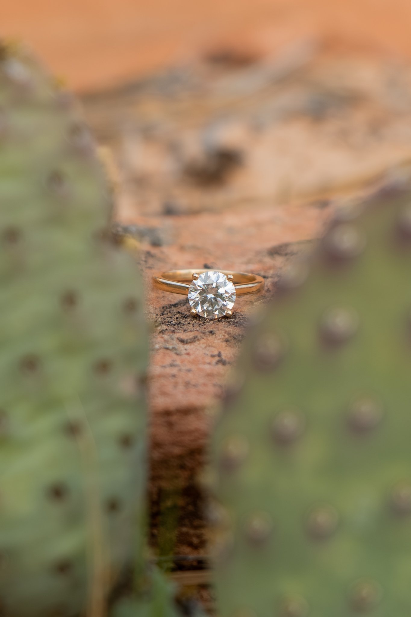 04-25-26 ZAP Photoshoot Engagements East Zion-17.jpg