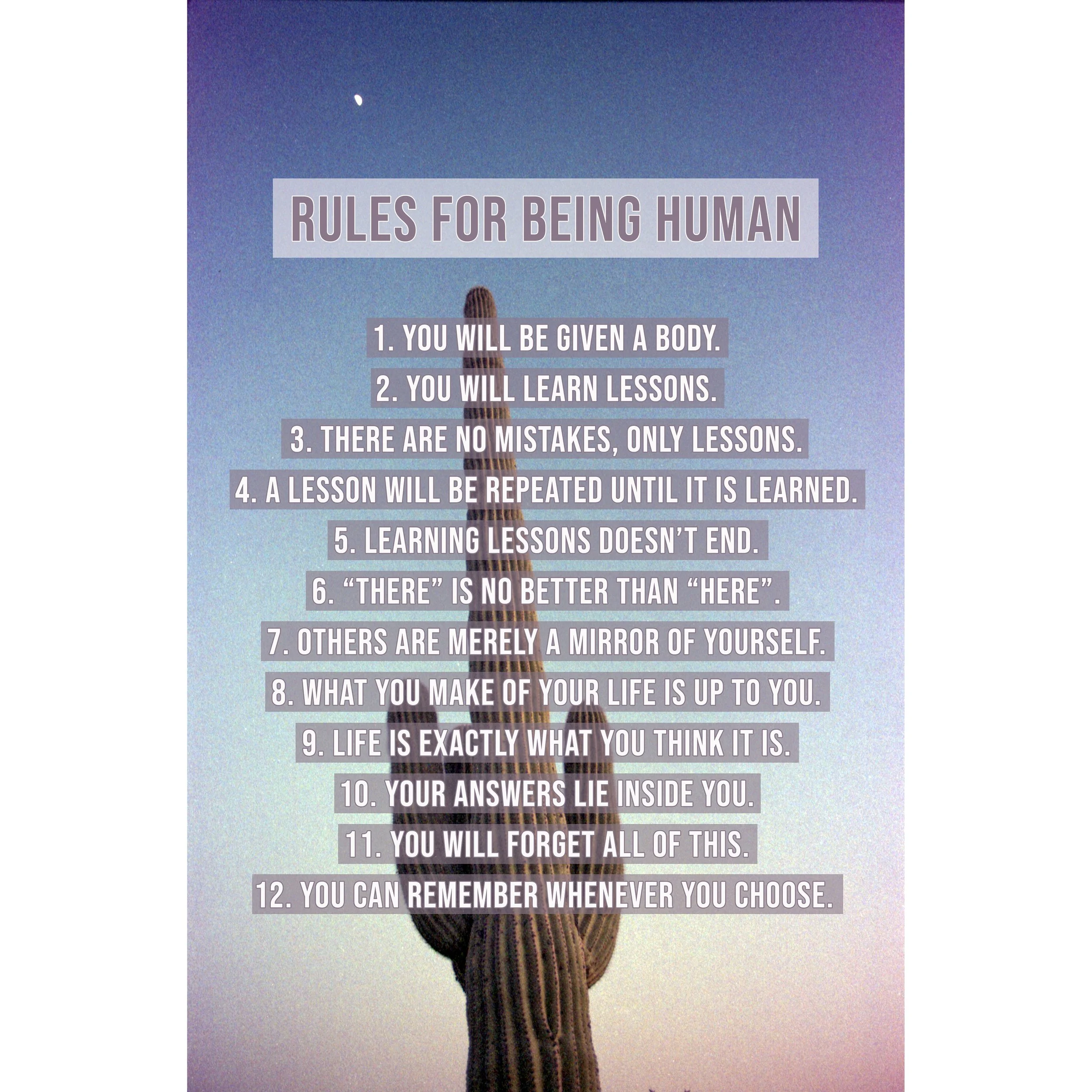 Rules for Being Human - Saguaro Dream Purple Print Shop.jpg