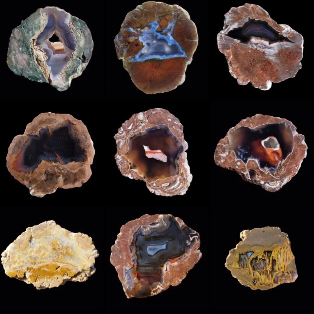 Can you even believe all these stunning thundereggs found, cut and polished by @thundereggme ?!? 😍✨😮⚡🤯

Which one is your favorite?

Check out their IG grid, it's a gorgeous gallery of thundereggs. 

Life is like a thunderegg, you never know what 