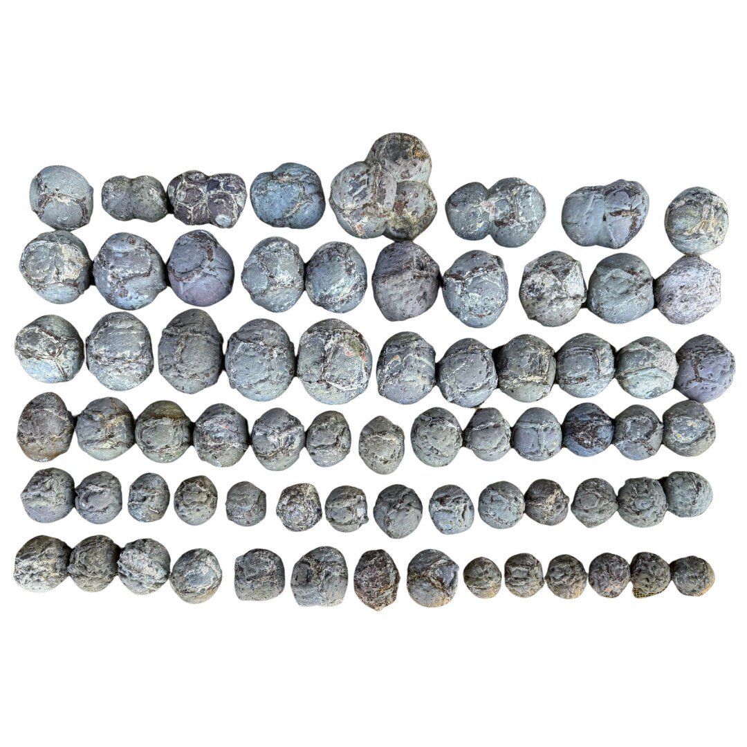 https://i.etsystatic.com/24094988/r/il/e0fbe8/5594735333/il_fullxfull.5594735333_jidd.jpg