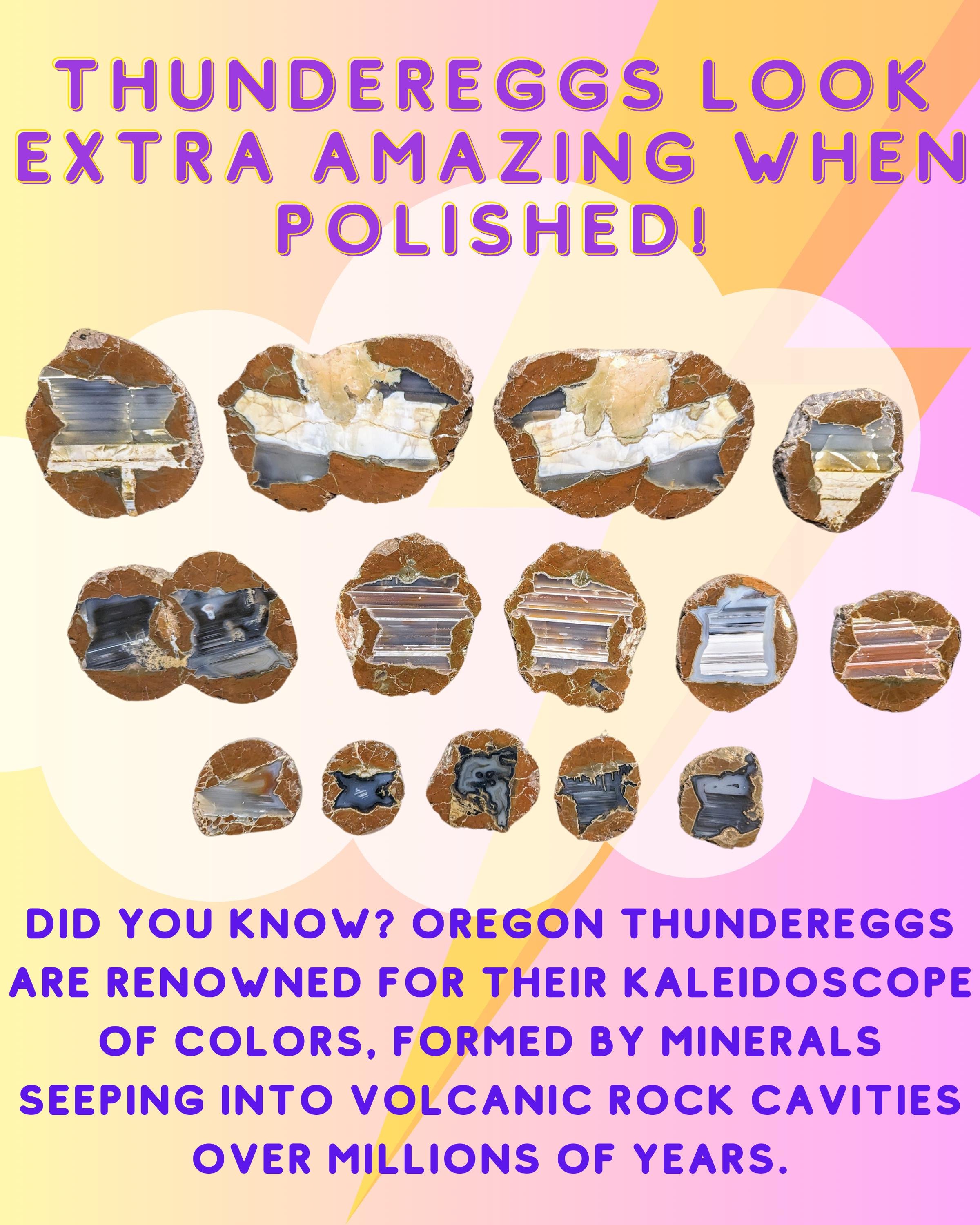 https://i.etsystatic.com/24094988/r/il/730881/6510535896/il_fullxfull.6510535896_b49f.jpg