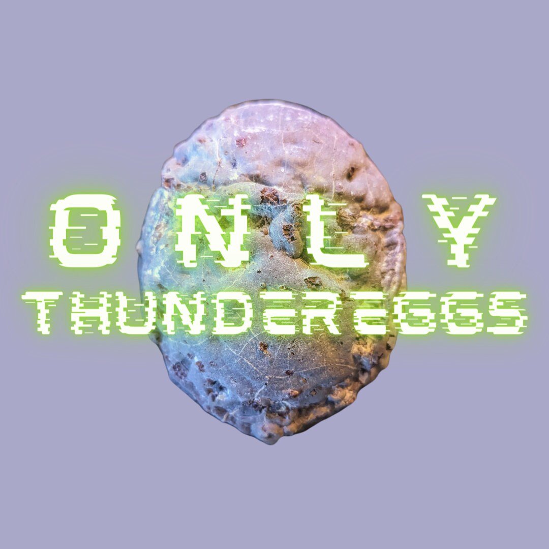 https://i.etsystatic.com/24094988/r/il/bfc980/6007148859/il_fullxfull.6007148859_rgrr.jpg