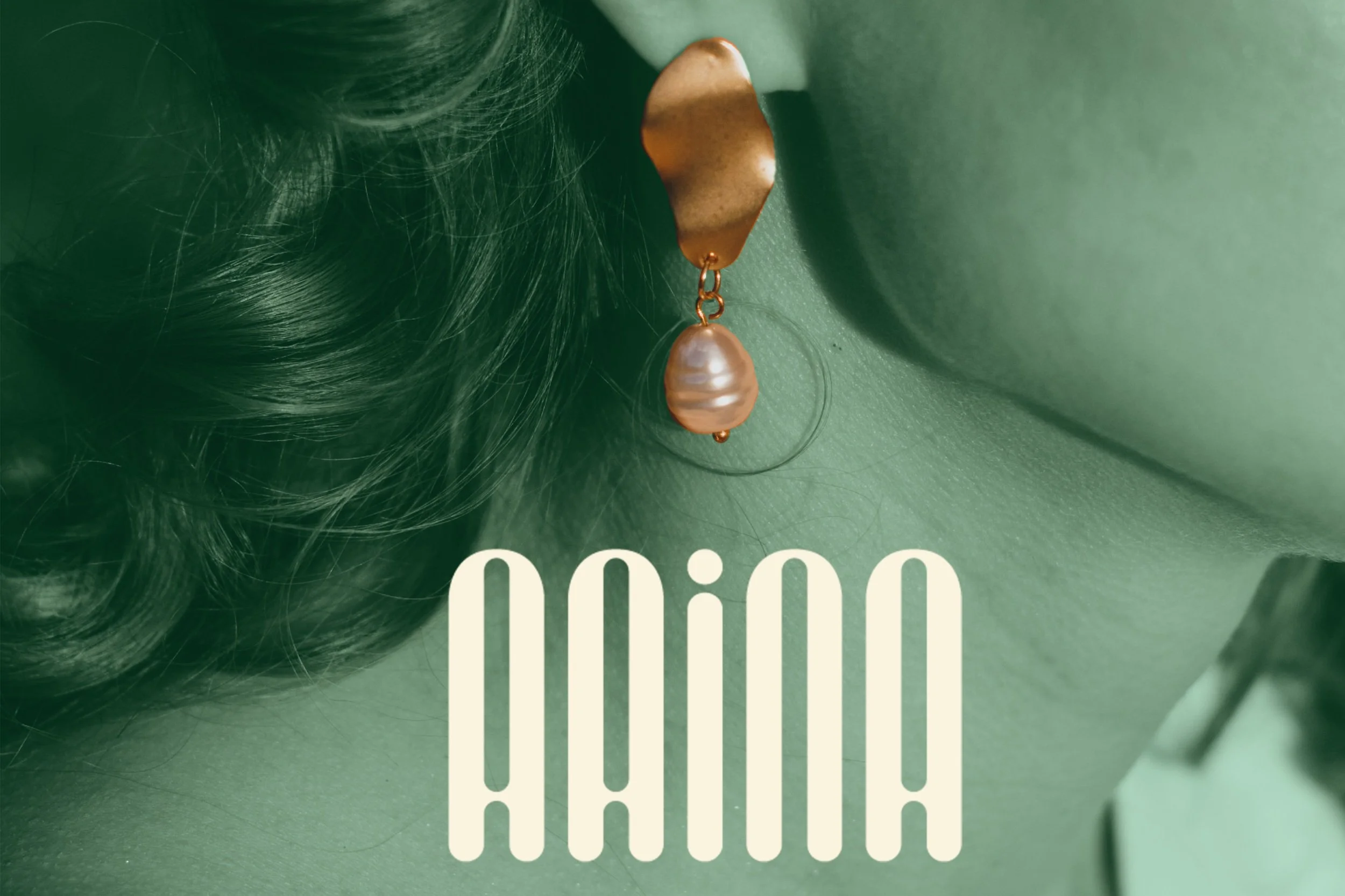 aaina logo be.jpg