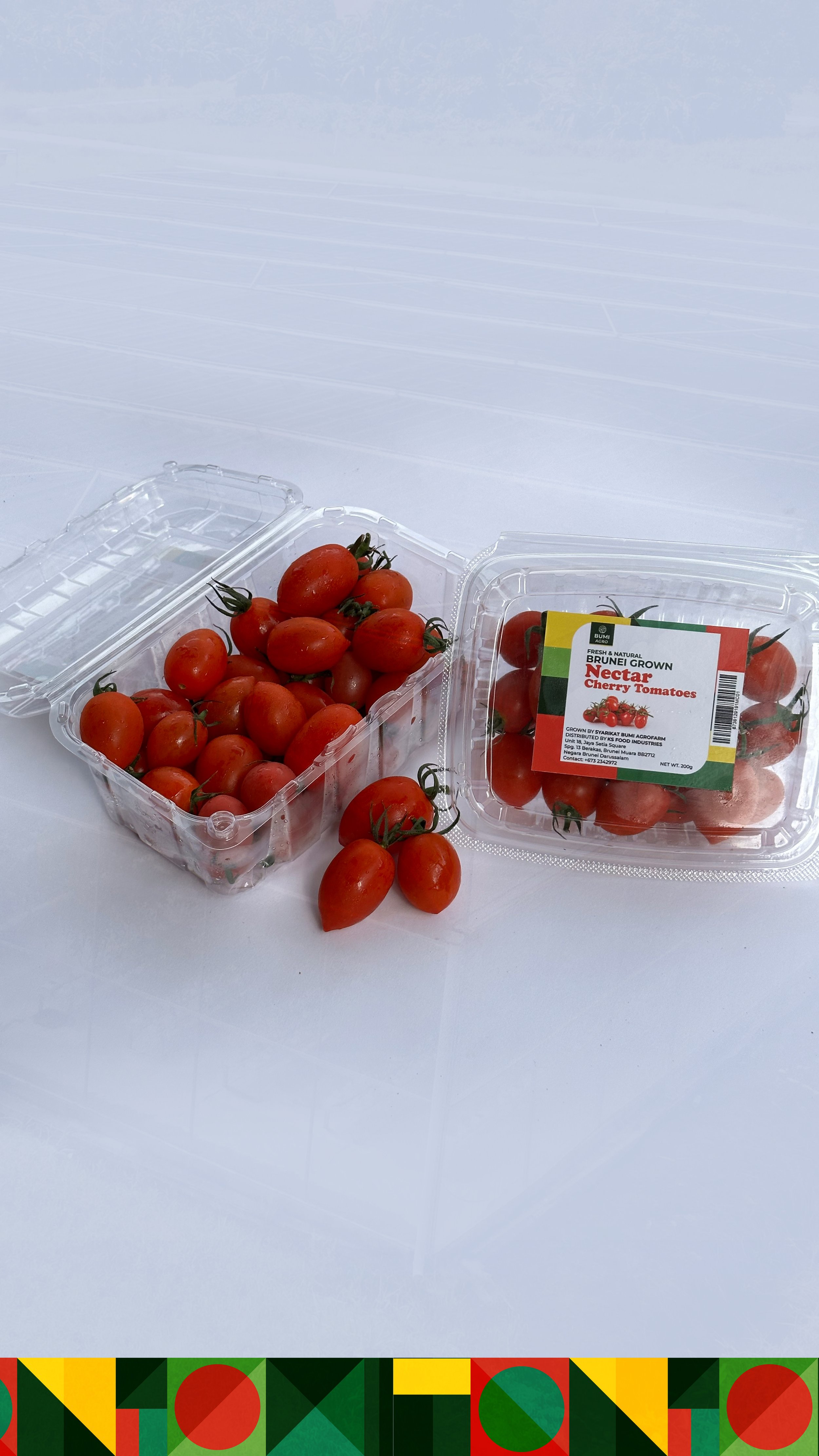 bumiagro [Recovered]-03.jpg