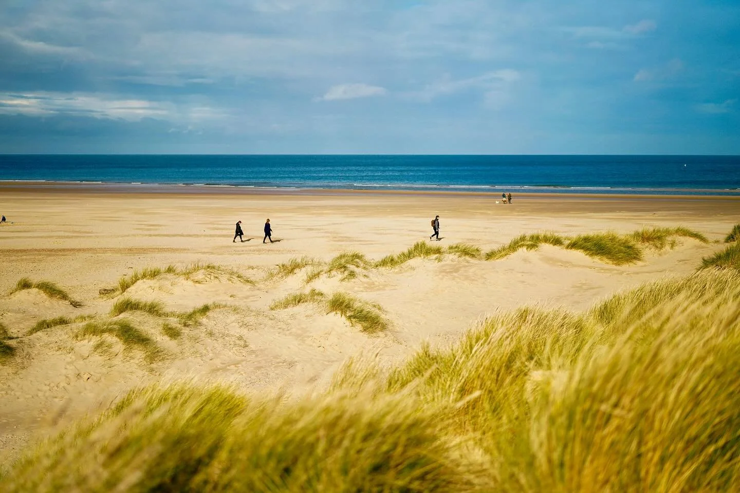 Norfolk - where quiet luxury meets coastal charm.

Mornings spent strolling along windswept beaches, afternoons by the fire in a private country retreat, and evenings dining on the freshest local seafood with a glass of chilled wine in hand.

Holkham