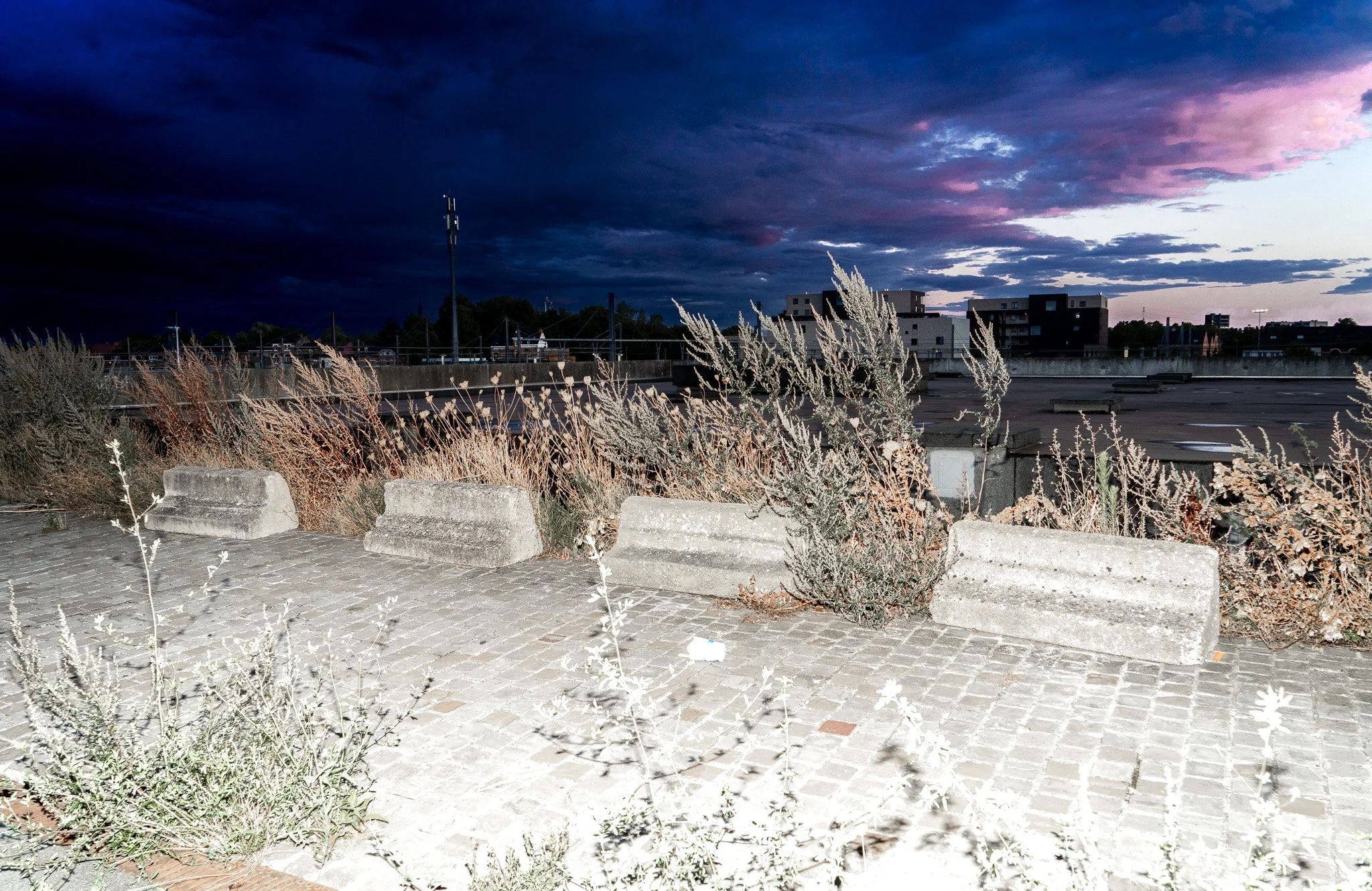 DSC07541-2.jpg