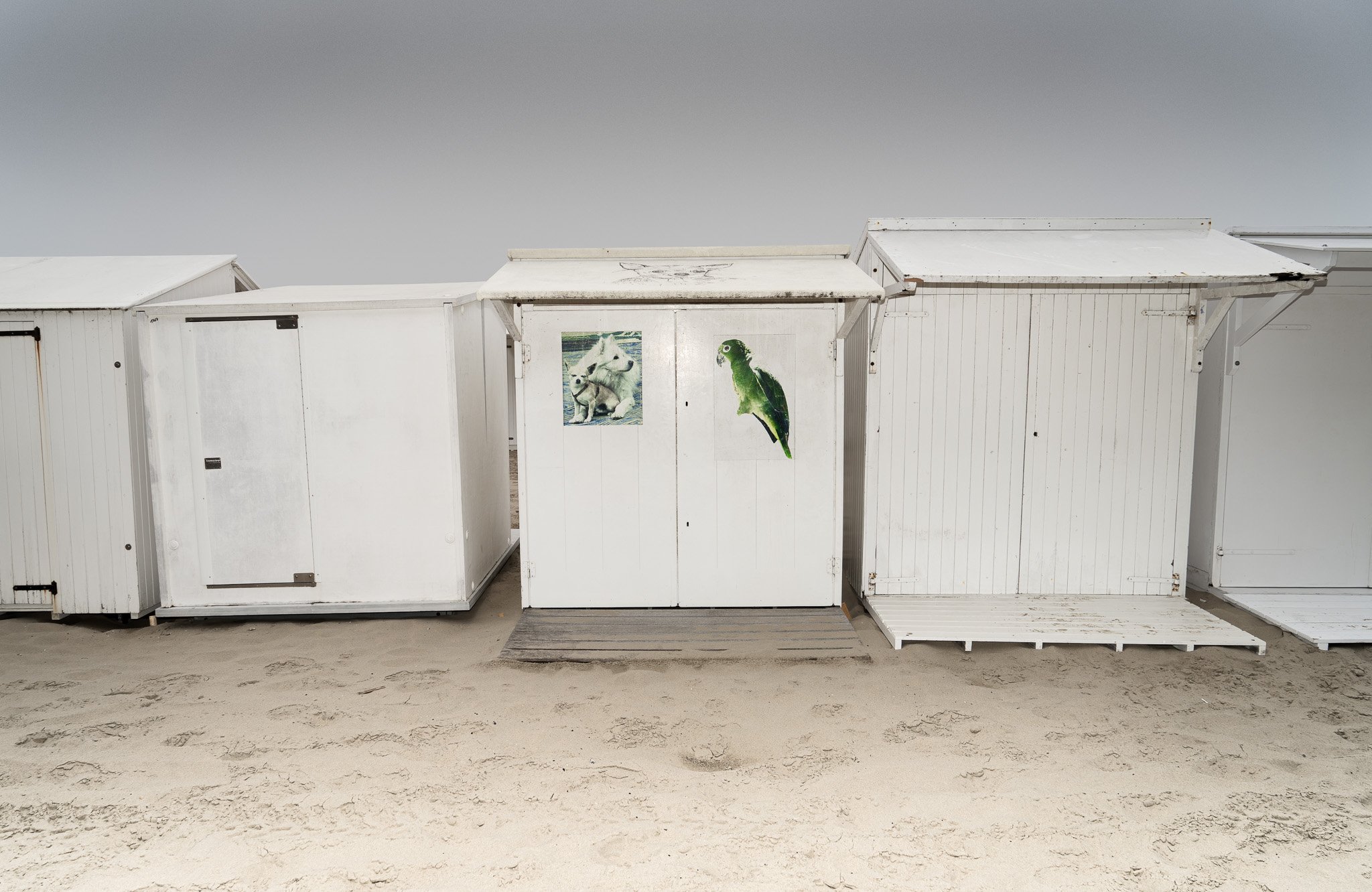 Blankenberge. 2025