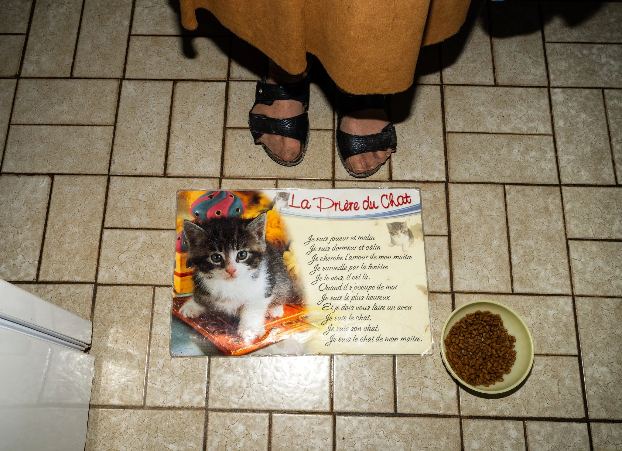 DSC09144.jpg