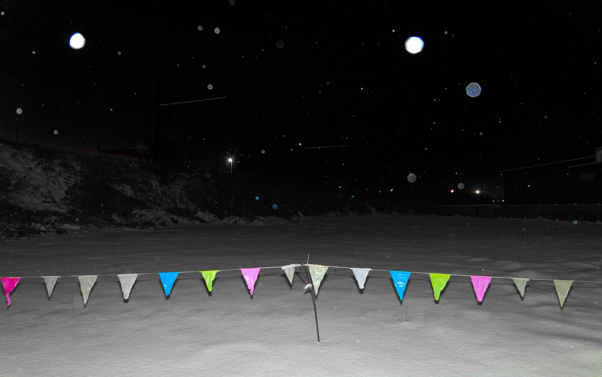 DSC02561.jpg