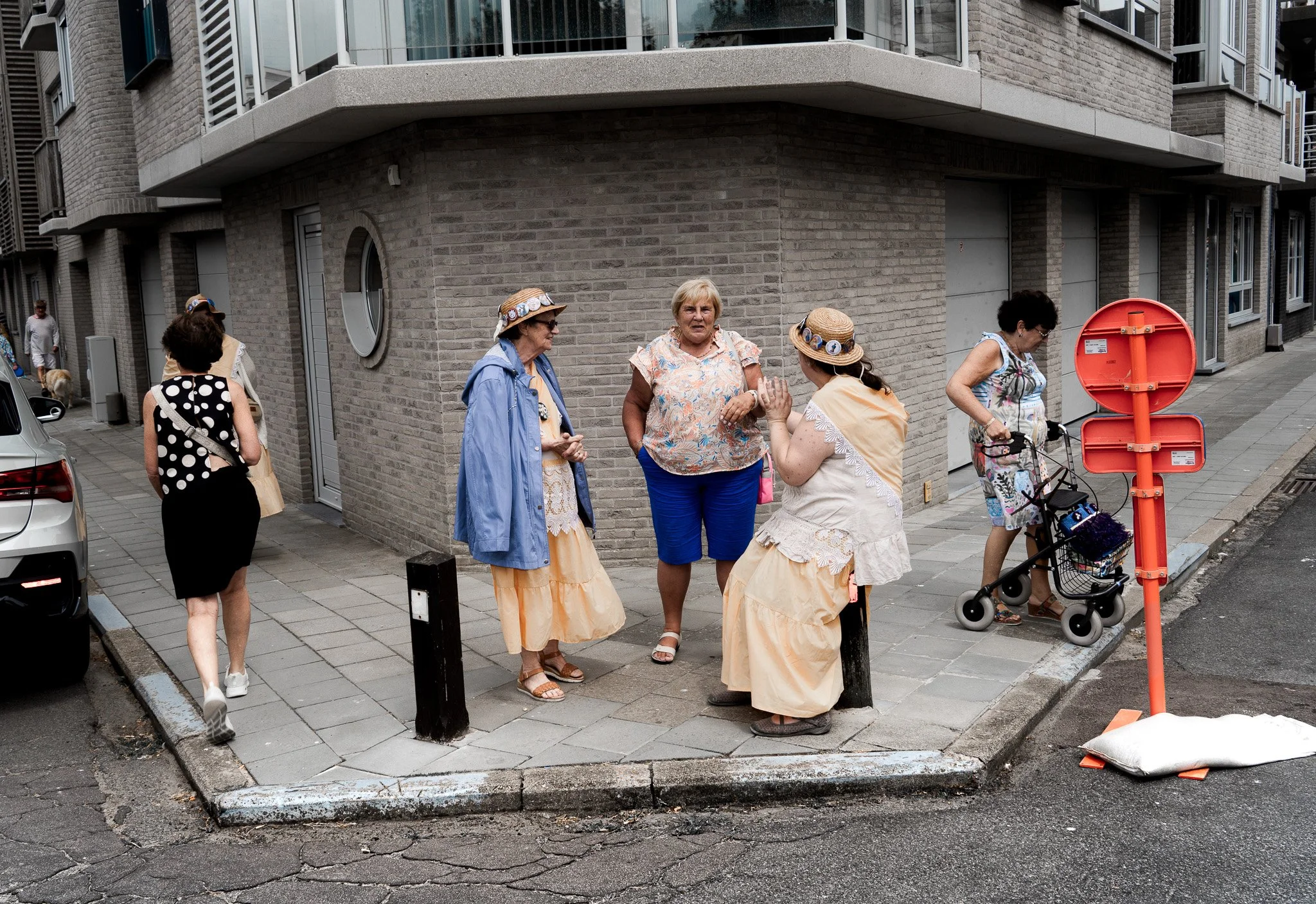 DSC06439-4.jpg