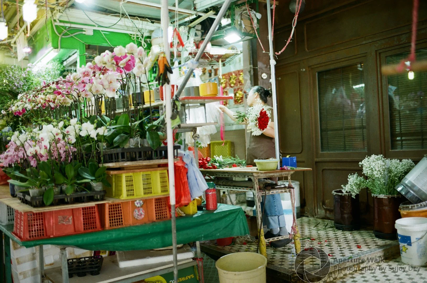 APW-0000184400243130 x 2075.jpg