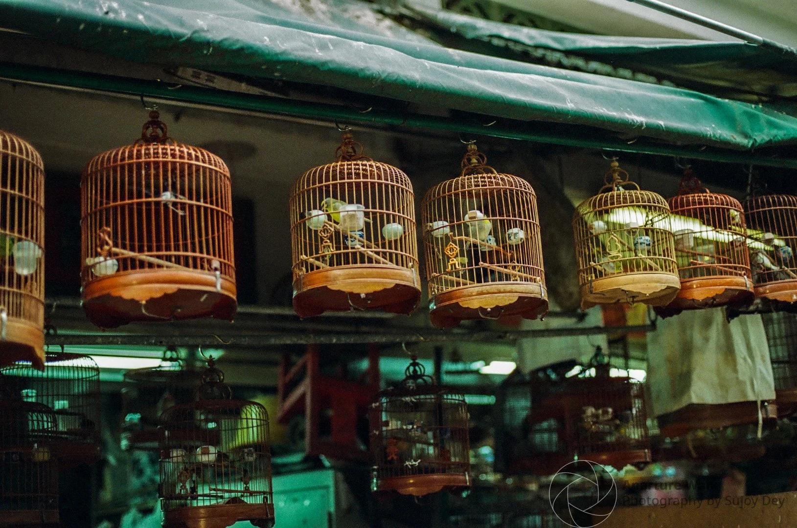 Yuen Po Street - Bird Garden