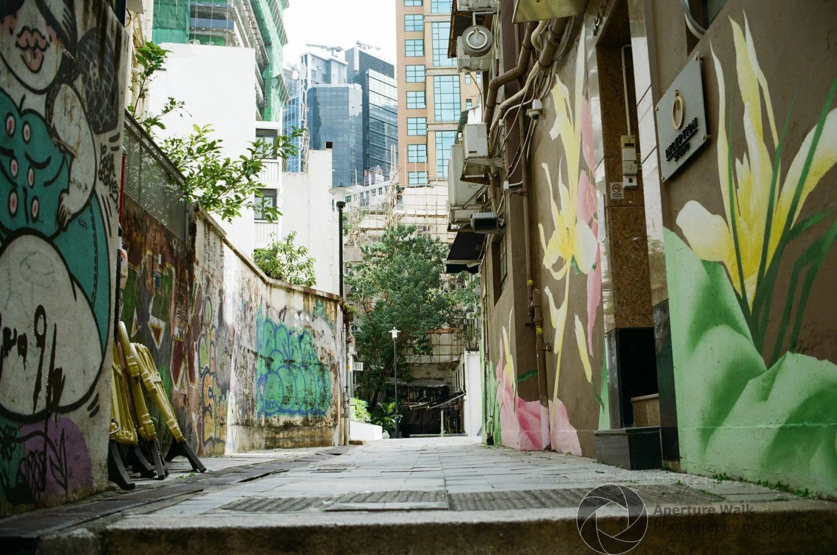 APW-0000184400123130 x 2075.jpg