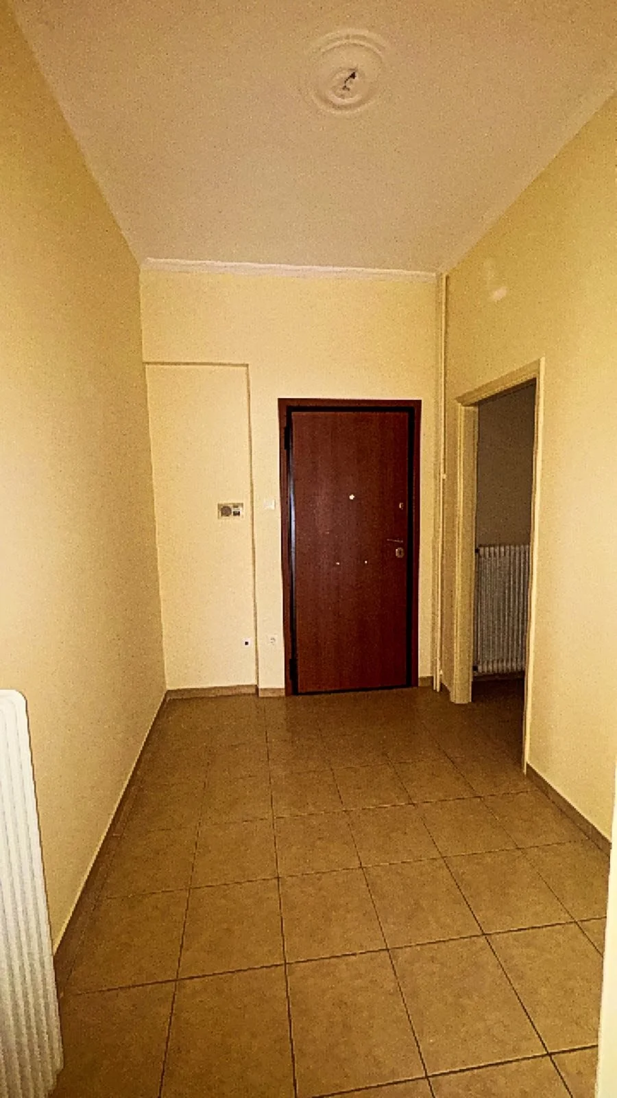 εικόνα_Viber_2025-11-05_18-32-36-672.jpg